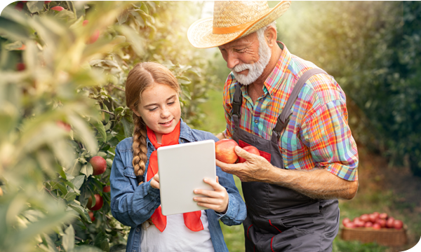 Grandpa and granddaughter looks at tablet in an apple orchard 